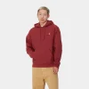 Discount Carhartt WIP Hooded American Script Sweatshirt Tuscany